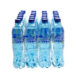 AGUA PURA SALVAVIDA 600 ML.